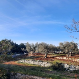 apulien rundreise 2022_22